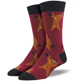 Bearbell Men's Crew Sock